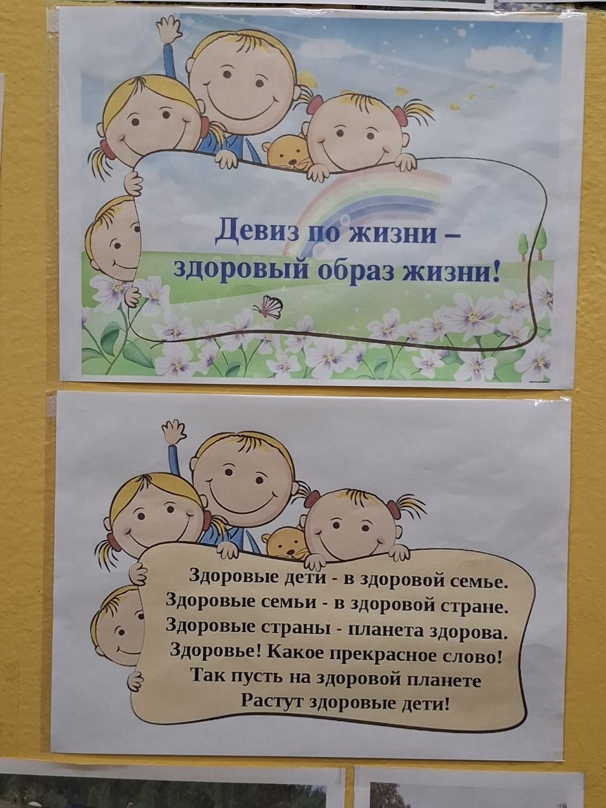 Неделя ЗОЖ